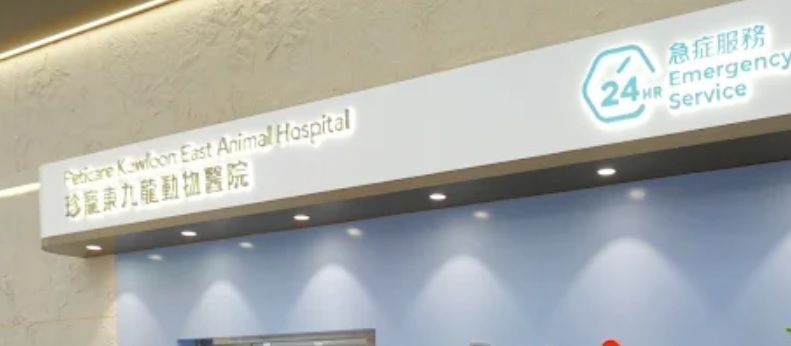 推介: 珍寵東九龍動物醫院