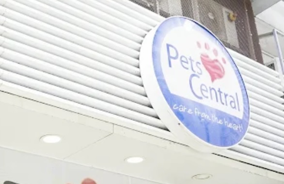 查看更多專業24小時服務單位: Pets Central 動物急症醫院 (港鳥東區)[北角]