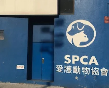 查看更多專業24小時服務單位: 愛護動物協會灣仔總部 (SPCA)[灣仔]